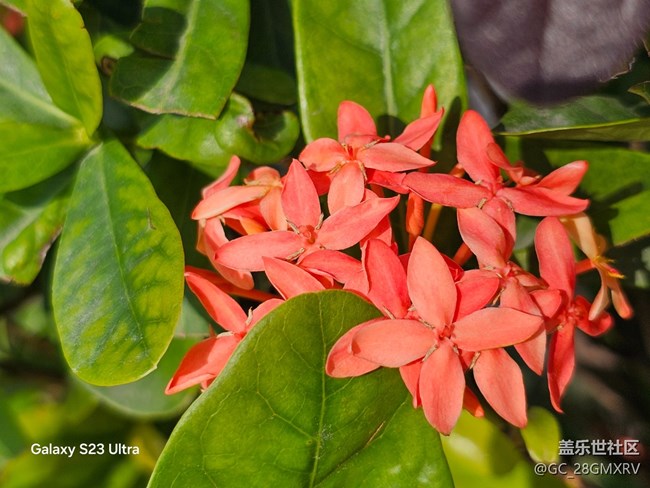 【三星视界】降温了