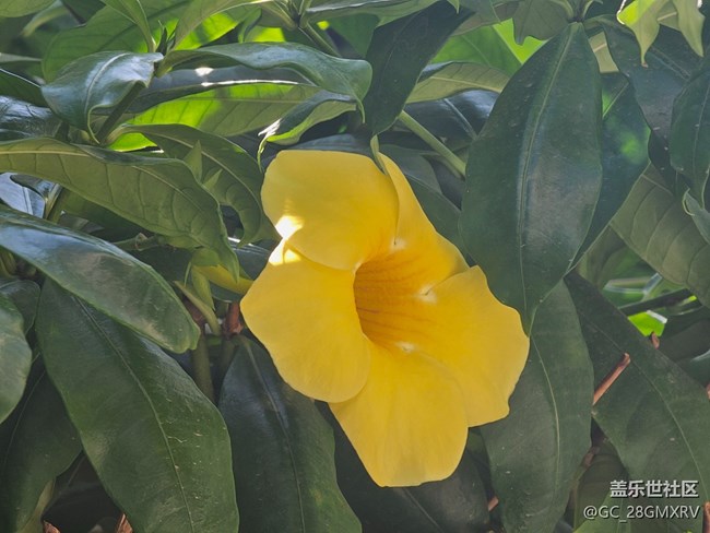 【地域拼图】街巷角落