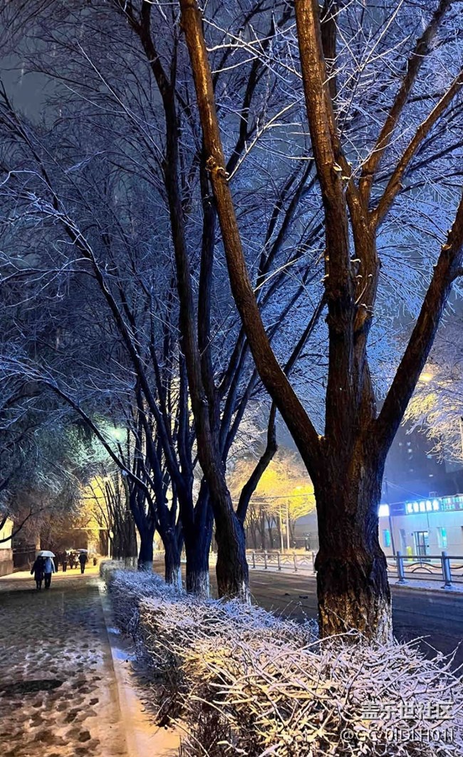 【银装视界】大雪纷飞