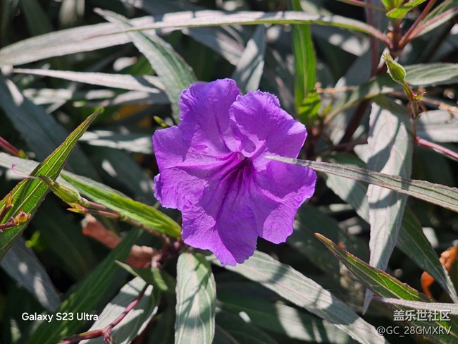 【三星视界】降温了