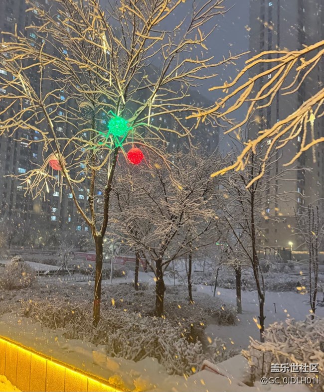 【银装视界】大雪纷飞