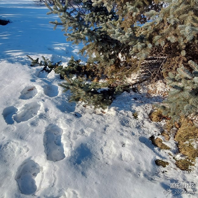 【银装视界】下雪