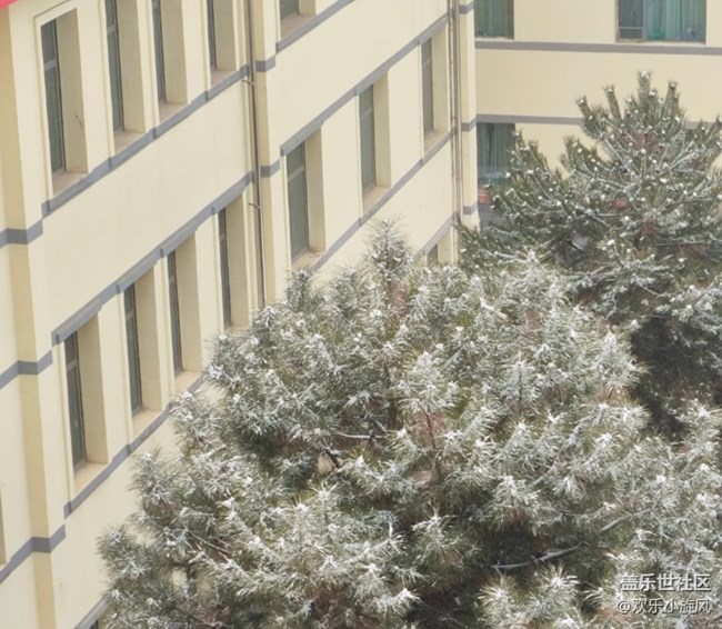 【银装视界】雪落无声