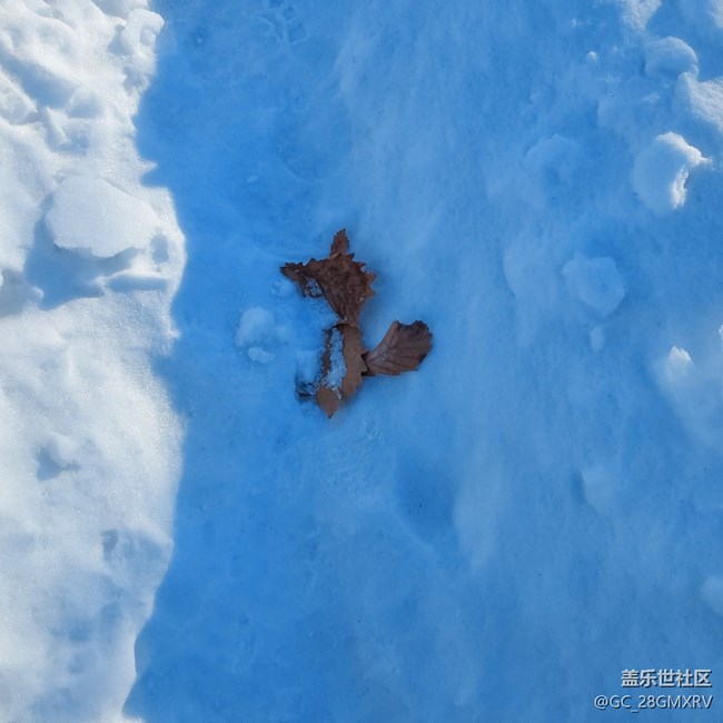 【银装视界】下雪