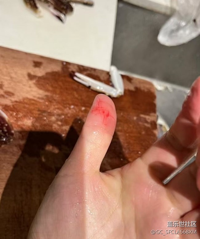 【雪落食暖】吃蟹