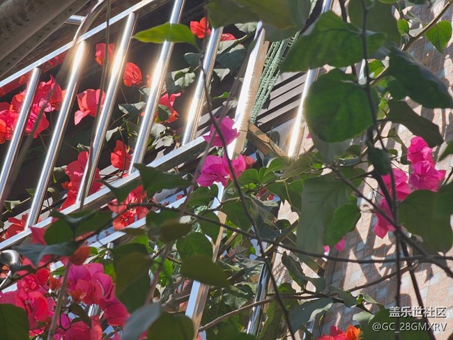 【地域拼图】街巷角落