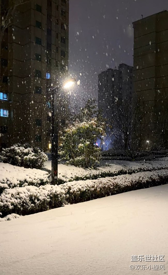 【银装视界】雪落无声