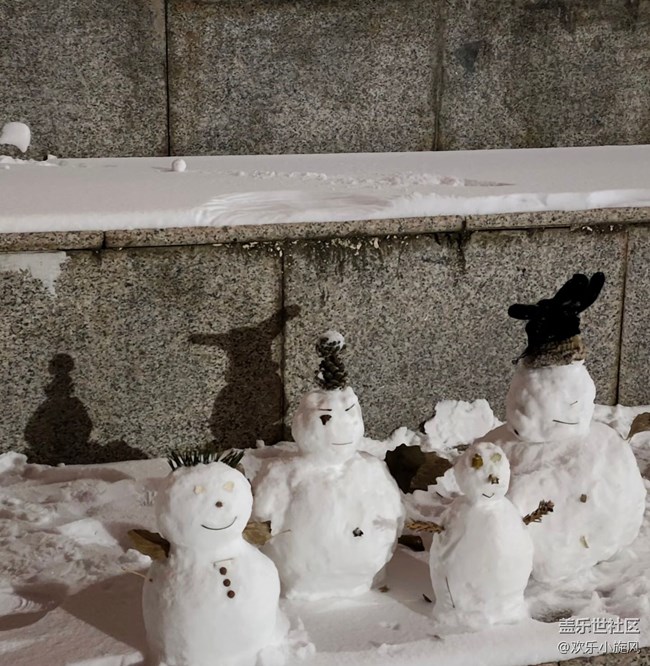 【银装视界】雪落无声