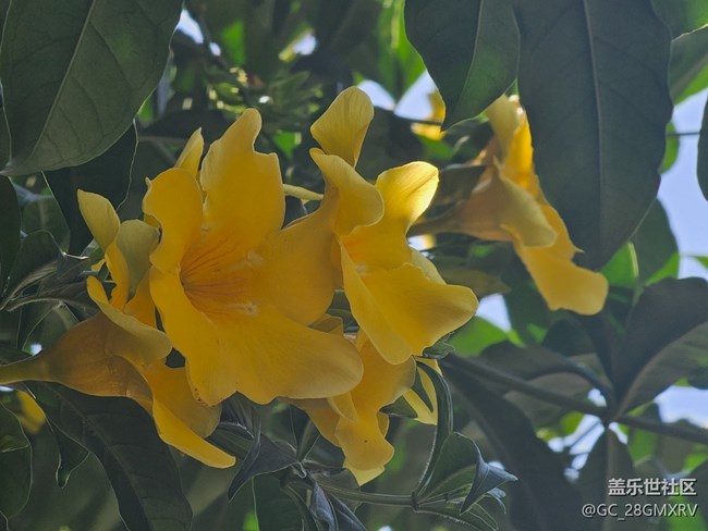 【地域拼图】街巷角落