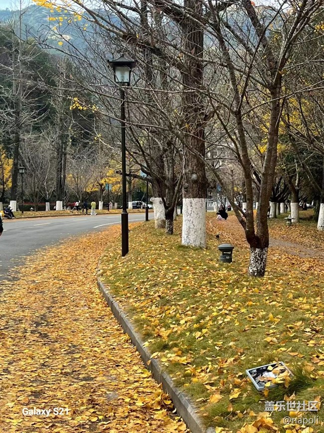 【三星视界】红叶