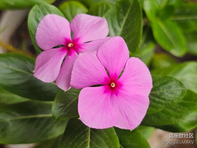 【街巷秋痕】角落精彩