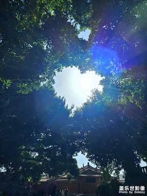 【顺光逆光】光影之下