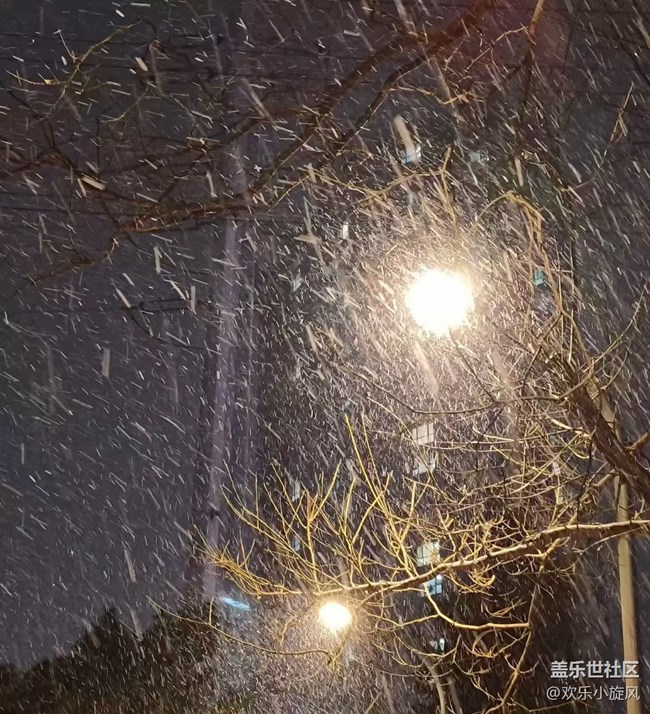 【银装视界】雪落无声