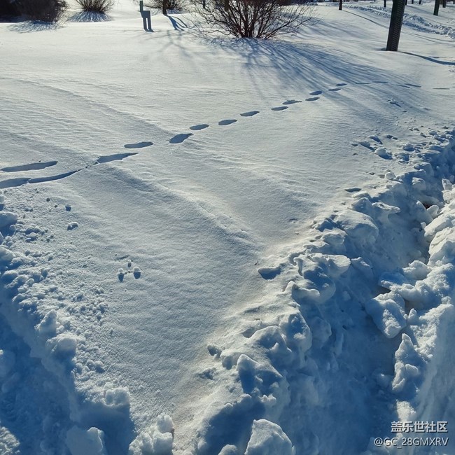 【银装视界】下雪
