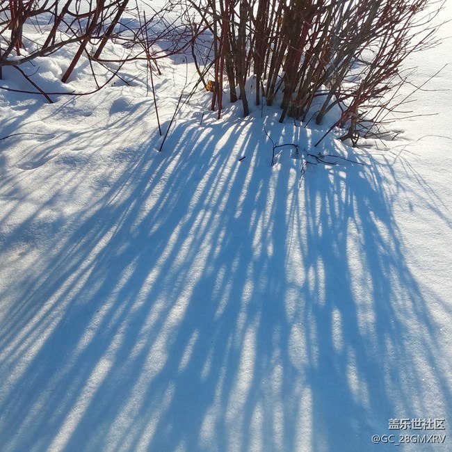 【银装视界】下雪