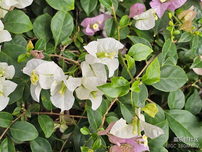 【街巷秋痕】角落精彩