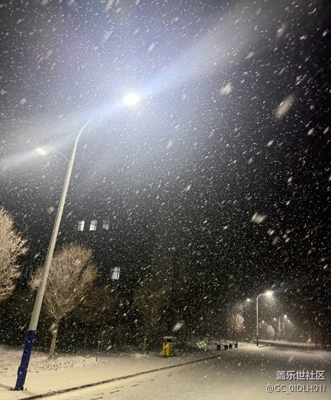 【银装视界】大雪纷飞