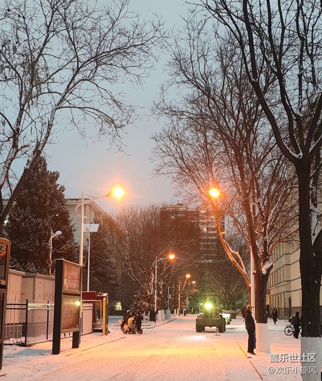 【银装视界】雪落无声