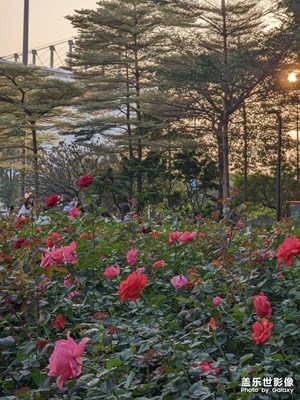 【顺光逆光】+场景小拍