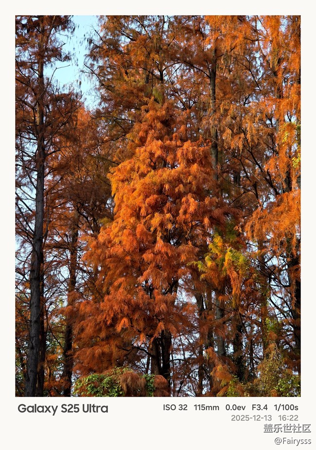 【Galaxy AI奇妙游】植物王国