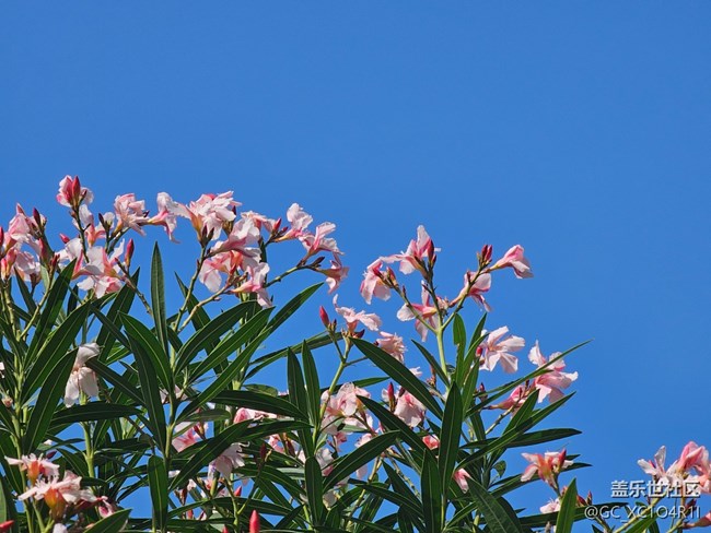 【地域拼图】不一样的天空