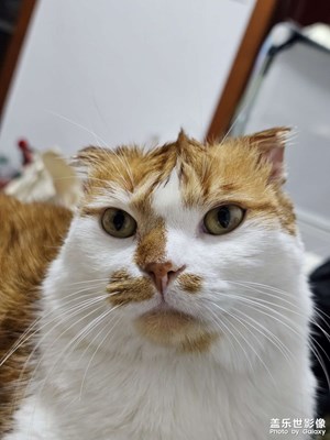 【顺光逆光】+周末晚餐