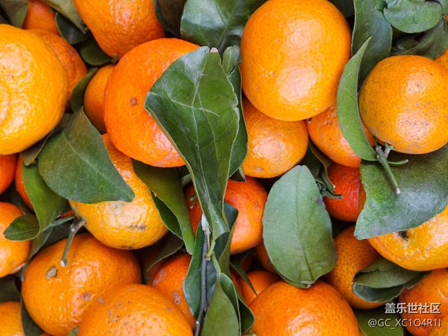 【捕捉那一抹金】水果新鲜