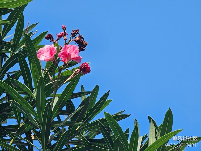 【地域拼图】不一样的天空