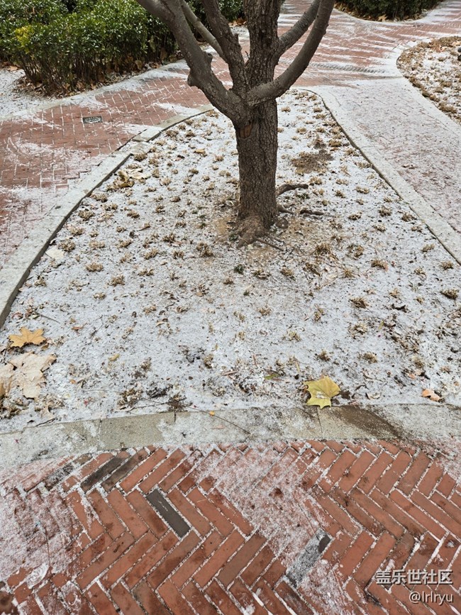 【银装视界】迎初雪