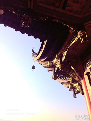 【顺光逆光】一些看见光的时刻