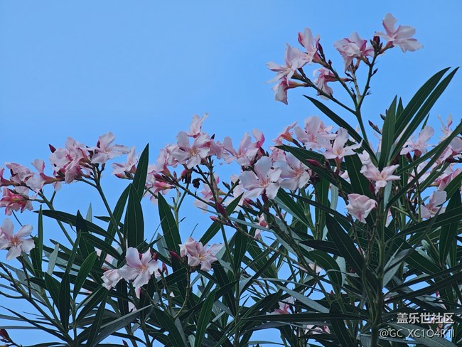 【地域拼图】不一样的天空