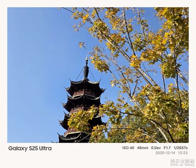 【顺光逆光】+龙华塔