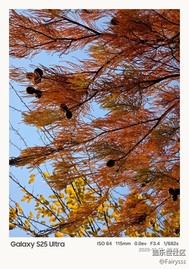 【Galaxy AI奇妙游】植物王国