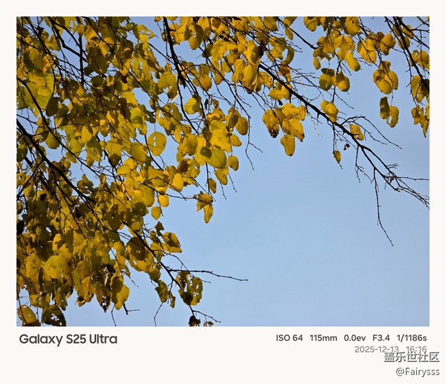 【Galaxy AI奇妙游】植物王国