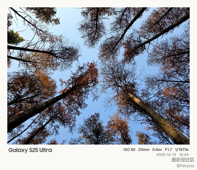 【Galaxy AI奇妙游】植物王国