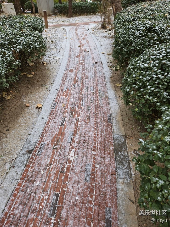 【银装视界】迎初雪