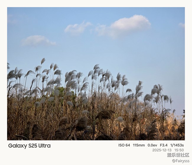 【Galaxy AI奇妙游】植物王国