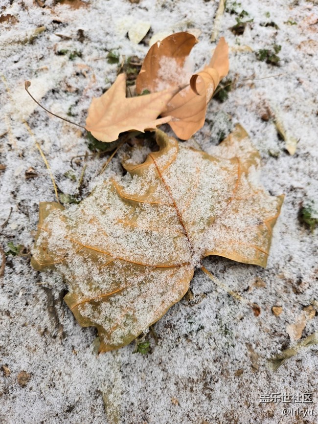 【银装视界】迎初雪