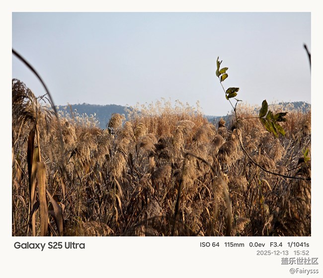 【Galaxy AI奇妙游】植物王国