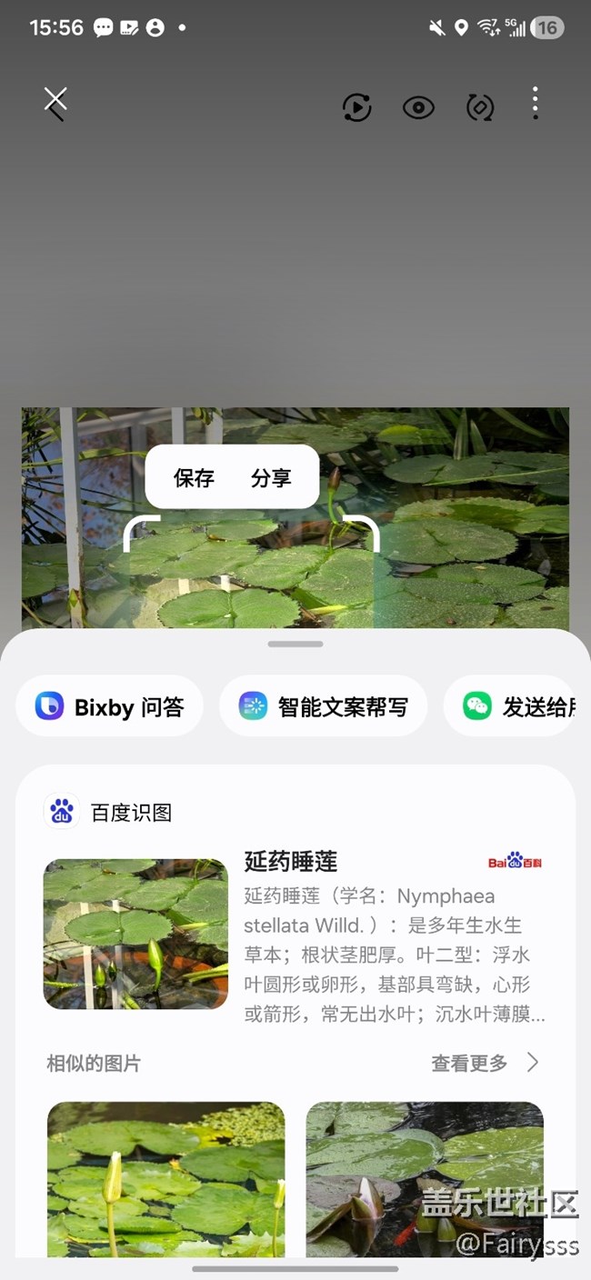 【Galaxy AI奇妙游】植物王国