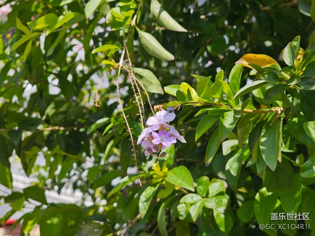 【地域拼图】不一样的天空