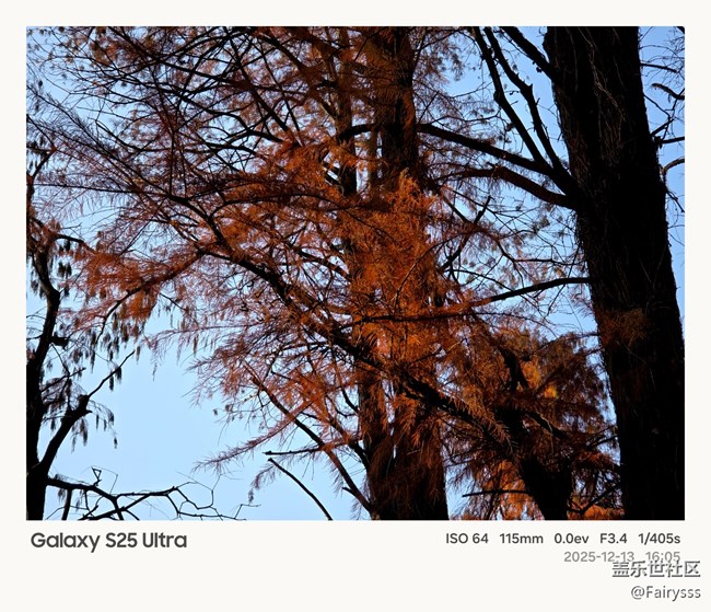 【Galaxy AI奇妙游】植物王国