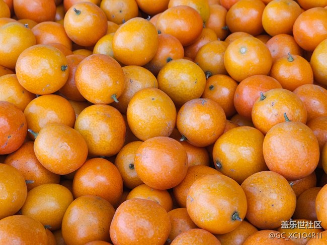 【捕捉那一抹金】水果新鲜