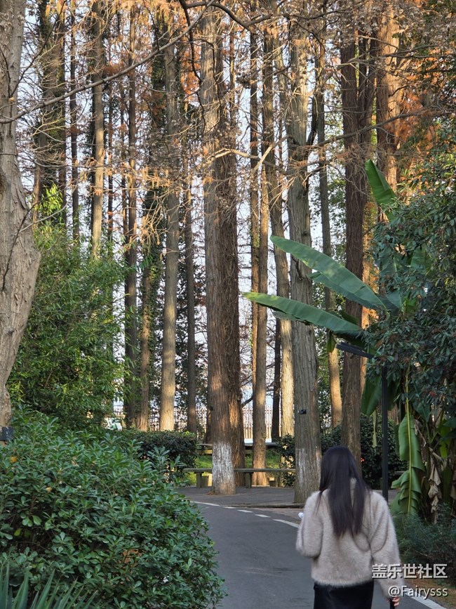 【Galaxy AI奇妙游】植物王国