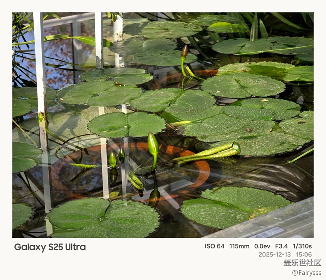 【Galaxy AI奇妙游】植物王国