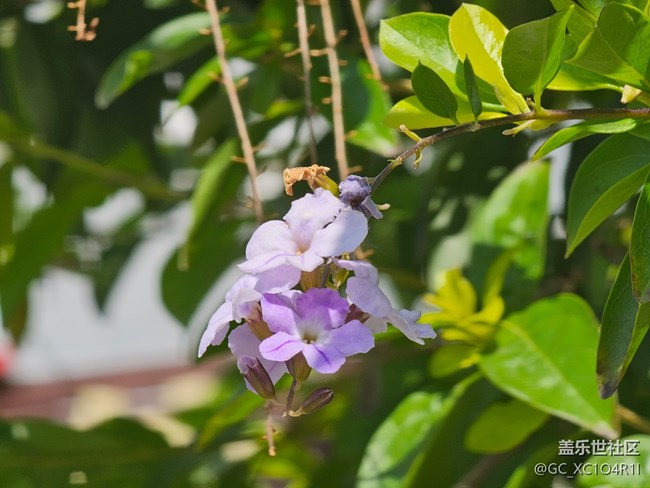 【地域拼图】不一样的天空