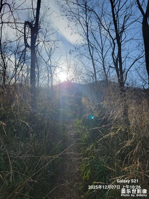 【顺光逆光】+场景小拍