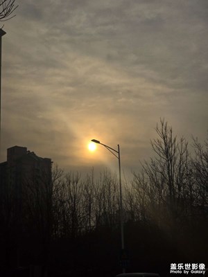 【顺光逆光】追光呦