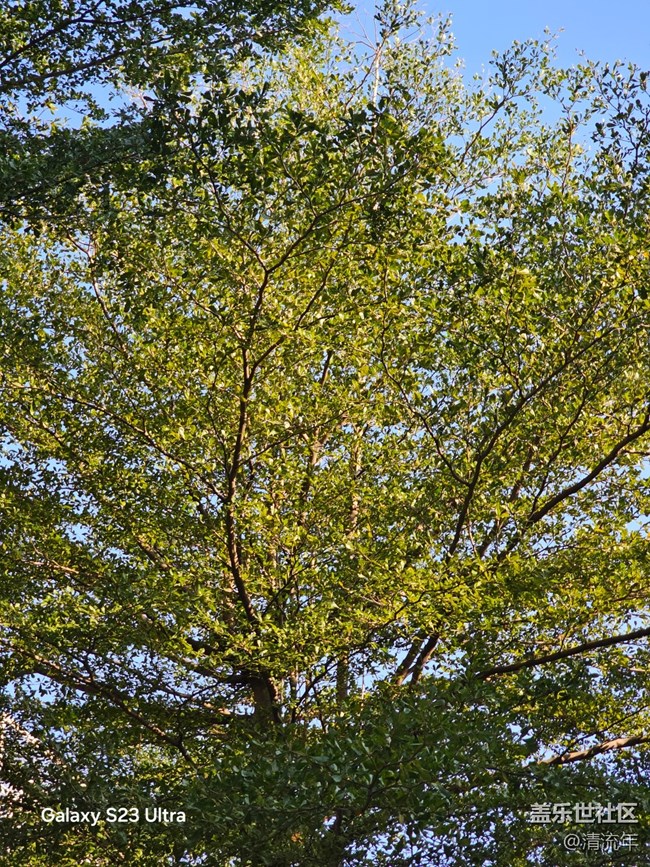 【三星视界】好天气