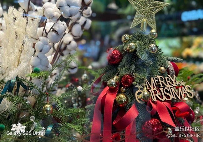 【三星视界】美丽的冬天